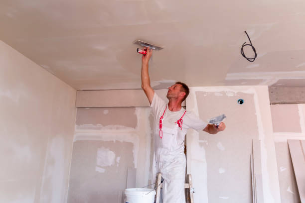 Best Eco-Friendly and Low-VOC Painting  in Roosevelt Gardens, FL