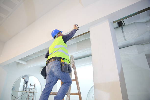 Best Ceiling Drywall Installation  in Roosevelt Gardens, FL